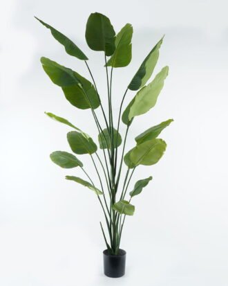 Artificial Tree 115*115*240cm Sterlitzia in PP pot GS-45124003 2024Jul YeahFlower is one of Chinese leading OEM manufacturers and exporters , supplying the silk flowers, wholesale artificial trees