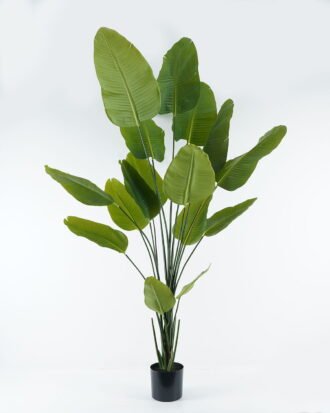 Artificial Tree 90*90*210cm Sterlitzia in PP pot GS-45124004 2024Jul YeahFlower is one of Chinese leading OEM manufacturers and exporters , supplying the silk flowers, wholesale artificial trees