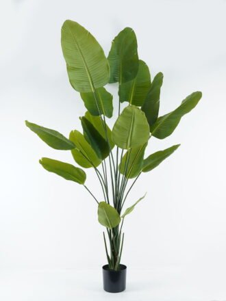 Artificial Tree 80*80*180cm Sterlitzia in PP pot GS-45124005 Tree&Plant 3,000+ sqm showroom with thousands of artificial flowers, plants & trees ready for global sourcing.