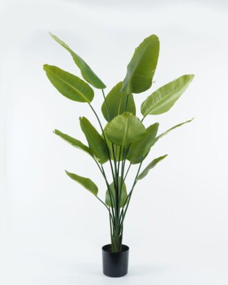 Artificial Tree 80*80*180cm Sterlitzia in PP pot GS-45124005 2024Jul YeahFlower is one of Chinese leading OEM manufacturers and exporters , supplying the silk flowers, wholesale artificial trees