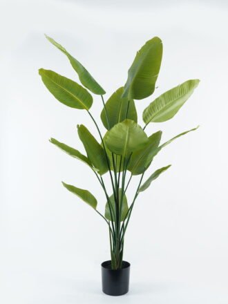 Artificial Tree 85*85*180cm Chamaedorea elegans Mart in PP pot GS-45124006KD Tree&Plant 3,000+ sqm showroom with thousands of artificial flowers, plants & trees ready for global sourcing.