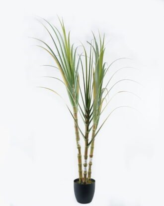 Artificial Tree 110*90*180cm Sugarcane *3 in pp pot GS-61924043KD-G1 Tree&Plant 3,000+ sqm showroom with thousands of artificial flowers, plants & trees ready for global sourcing.