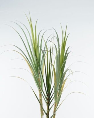 Artificial Tree 110*90*180cm Sugarcane *3 in pp pot GS-61924043KD-G1 Tree&Plant 3,000+ sqm showroom with thousands of artificial flowers, plants & trees ready for global sourcing.