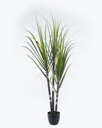 Artificial Tree 110*90*180cm Sugarcane *3 in pp pot GS-61924043KD-H1 Tree&Plant 3,000+ sqm showroom with thousands of artificial flowers, plants & trees ready for global sourcing.