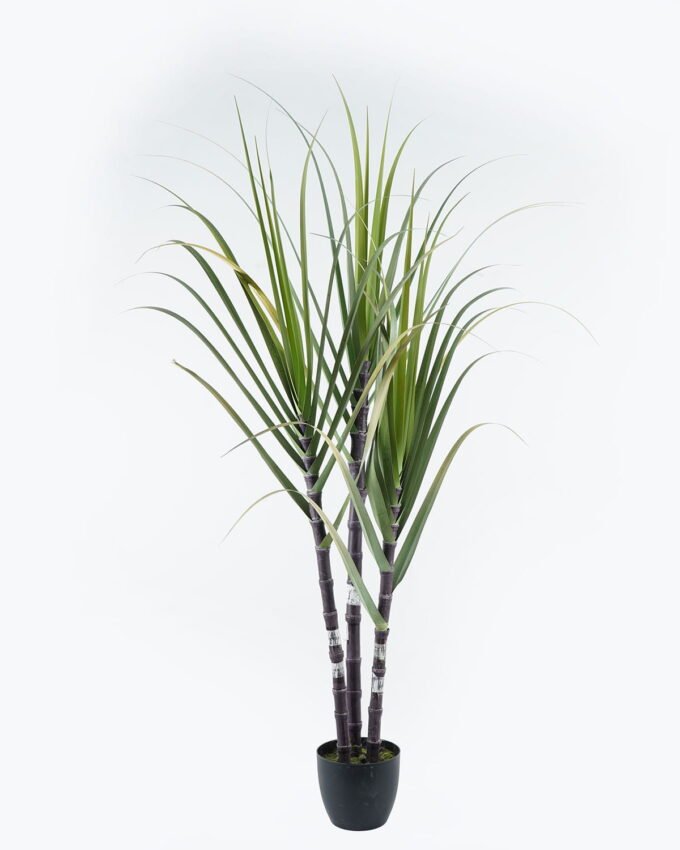 Artificial Tree 110*90*180cm Sugarcane *3 in pp pot GS-61924043KD-H1 2024Jun YeahFlower is one of Chinese leading OEM manufacturers and exporters , supplying the silk flowers, wholesale artificial trees