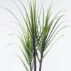 Artificial Tree 110*90*180cm Sugarcane *3 in pp pot GS-61924043KD-H1 2024Jun YeahFlower is one of Chinese leading OEM manufacturers and exporters , supplying the silk flowers, wholesale artificial trees