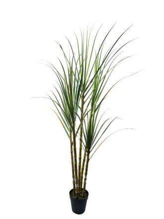 Artificial Tree 110*90*180cm Sugarcane *3 in pp pot GS-61924043KD-H1 Tree&Plant 3,000+ sqm showroom with thousands of artificial flowers, plants & trees ready for global sourcing.