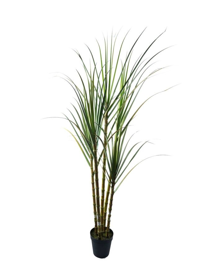 Artificial Tree 125*95*260cm Sugarcane *5 in pp pot GS-61924044KD-G1 2024Jun YeahFlower is one of Chinese leading OEM manufacturers and exporters , supplying the silk flowers, wholesale artificial trees