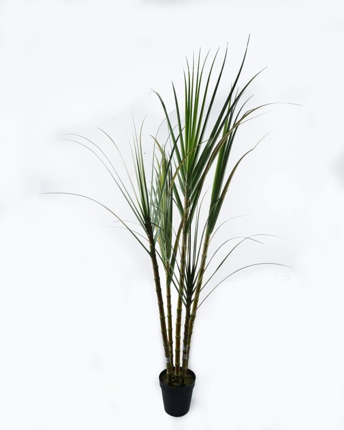 Artificial Tree 125*95*260cm Sugarcane *5 in pp pot GS-61924044KD-G1 2024Jun YeahFlower is one of Chinese leading OEM manufacturers and exporters , supplying the silk flowers, wholesale artificial trees