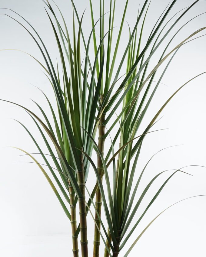 Artificial Tree 125*95*260cm Sugarcane *5 in pp pot GS-61924044KD-G1 2024Jun YeahFlower is one of Chinese leading OEM manufacturers and exporters , supplying the silk flowers, wholesale artificial trees