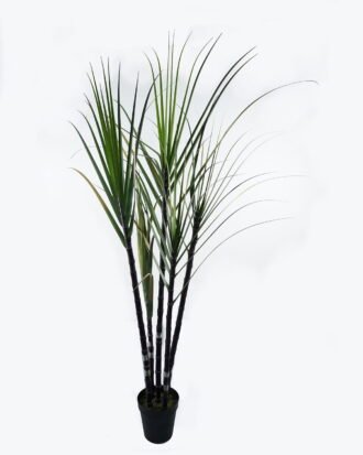 Artificial Tree 125*95*260cm Sugarcane *5 in pp pot GS-61924044KD-H1 Tree&Plant 3,000+ sqm showroom with thousands of artificial flowers, plants & trees ready for global sourcing.