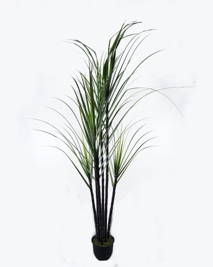 Artificial Tree 110*100*320cm Sugarcane *6 in pp pot GS-61924045KD-H1 2024Jun YeahFlower is one of Chinese leading OEM manufacturers and exporters , supplying the silk flowers, wholesale artificial trees