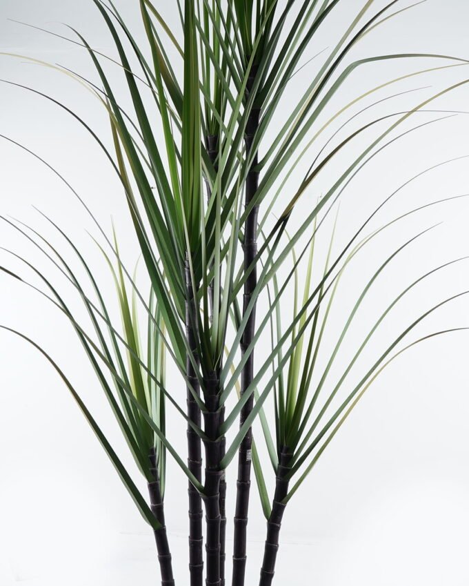 Artificial Tree 110*100*320cm Sugarcane *6 in pp pot GS-61924045KD-H1 2024Jun YeahFlower is one of Chinese leading OEM manufacturers and exporters , supplying the silk flowers, wholesale artificial trees