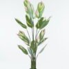 Artificial Tree 80*80*150cm Tree in PP pot/15 lvs GS-30424015 2024Jun YeahFlower is one of Chinese leading OEM manufacturers and exporters , supplying the silk flowers, wholesale artificial trees