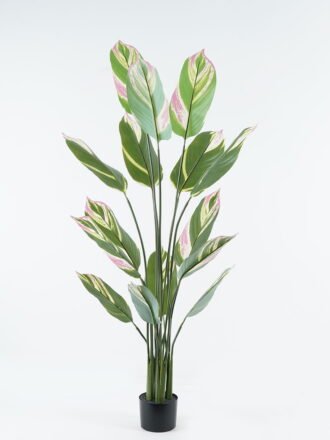 Artificial Tree 63*63*90cm Tree in PP pot/9 lvs GS-30424016 Tree&Plant 3,000+ sqm showroom with thousands of artificial flowers, plants & trees ready for global sourcing.