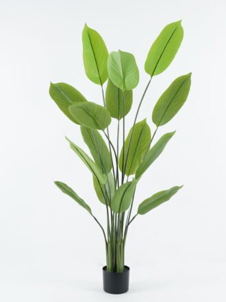 Artificial Tree 70*70*90cm Arrowroot in PP pot/9 lvs GS-30424022 Tree&Plant 3,000+ sqm showroom with thousands of artificial flowers, plants & trees ready for global sourcing.