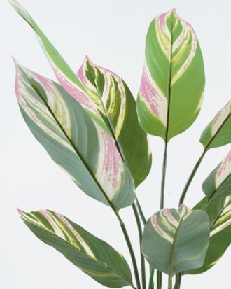 Artificial Tree 63*63*90cm Tree in PP pot/9 lvs GS-30424013 Tree&Plant 3,000+ sqm showroom with thousands of artificial flowers, plants & trees ready for global sourcing.
