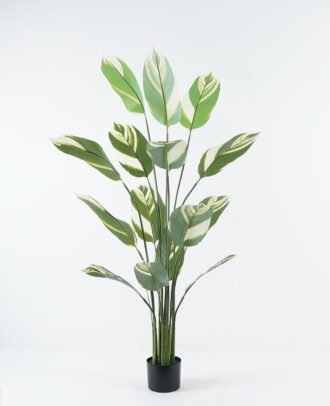 Artificial Tree 84*84*150cm White jade beauty in PP pot/15 lvs GS-30424018