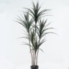 Artificial Tree tree 5 in PP pot 116 lvs GS-59524014_1 Artificial Tree 70*70*150cm tree *5 in PP pot/116 lvs GS-59524014 2024Jul YeahFlower is one of Chinese leading OEM manufacturers and exporters , supplying the silk flowers, wholesale artificial trees