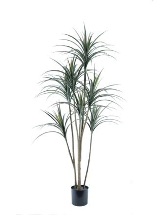 Artificial Tree 50*50*120cm Olive tree in PP pot/246 lvs GS-59524012 Tree&Plant 3,000+ sqm showroom with thousands of artificial flowers, plants & trees ready for global sourcing.