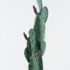 Artificial succulent 18*18*87cm Cactus*2 in pp pot GS-69224013 2024Jun YeahFlower is one of Chinese leading OEM manufacturers and exporters , supplying the silk flowers, wholesale artificial trees