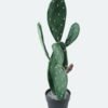 Artificial succulent 20*20*63cm Cactus*2 in pp pot GS-69224014 2024Jun YeahFlower is one of Chinese leading OEM manufacturers and exporters , supplying the silk flowers, wholesale artificial trees