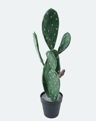 Artificial succulent 20*20*63cm Cactus*2 in pp pot GS-69224014 Succulent YeahFlower is one of Chinese leading OEM manufacturers and exporters , supplying the silk flowers, wholesale artificial trees