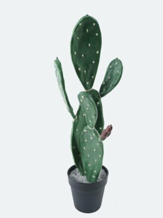 Artificial succulent 18*18*87cm Cactus*2 in pp pot GS-69224013 Succulent 3,000+ sqm showroom with thousands of artificial flowers, plants & trees ready for global sourcing.