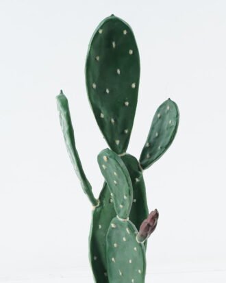 Artificial succulent 20*20*63cm Cactus*2 in pp pot GS-69224014 Succulent YeahFlower is one of Chinese leading OEM manufacturers and exporters , supplying the silk flowers, wholesale artificial trees