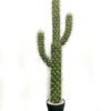 Artificial succulent 27*27*80cm Cactus*3 in pp pot GS-69224001 2024Jun YeahFlower is one of Chinese leading OEM manufacturers and exporters , supplying the silk flowers, wholesale artificial trees