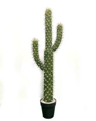 Artificial succulent 27*27*80cm Cactus*3 in pp pot GS-69224001