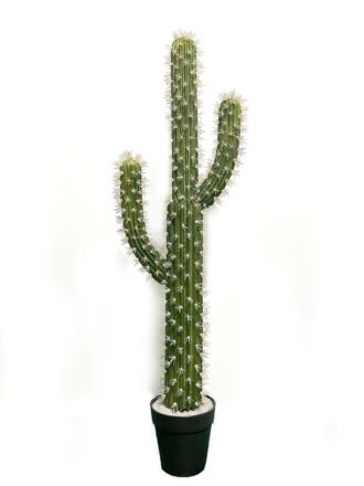 Artificial succulent 8*8*13cm potted leaf in cemnet pot GS-51723065 Succulent 3,000+ sqm showroom with thousands of artificial flowers, plants & trees ready for global sourcing.
