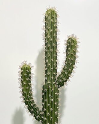 Artificial succulent 27*27*80cm Cactus*3 in pp pot GS-69224001 2024Jun YeahFlower is one of Chinese leading OEM manufacturers and exporters , supplying the silk flowers, wholesale artificial trees