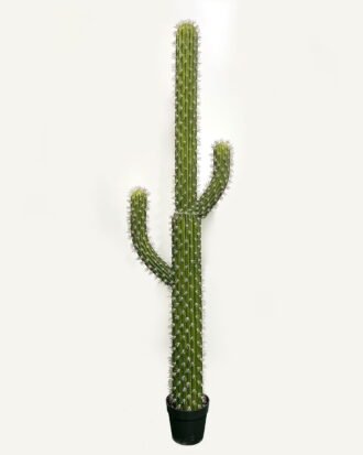 Artificial succulent 36*36*140cm Cactus*3 in pp pot GS-69224003 2024Jun YeahFlower is one of Chinese leading OEM manufacturers and exporters , supplying the silk flowers, wholesale artificial trees