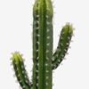 Artificial succulent 40*40*120cm Cactus*3 in pp pot GS-69224005 2024Jun YeahFlower is one of Chinese leading OEM manufacturers and exporters , supplying the silk flowers, wholesale artificial trees