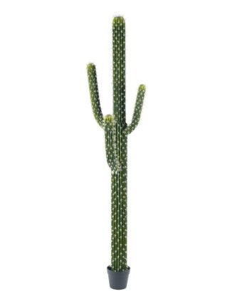Artificial succulent 39*25*165cm Cactus*4 in pp pot GS-69224004 2024Jun YeahFlower is one of Chinese leading OEM manufacturers and exporters , supplying the silk flowers, wholesale artificial trees