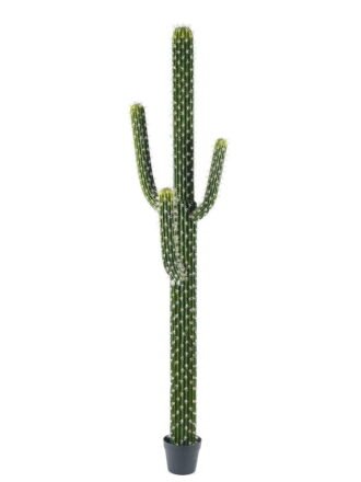Artificial succulent 36*36*140cm Cactus*3 in pp pot GS-69224003 Succulent 3,000+ sqm showroom with thousands of artificial flowers, plants & trees ready for global sourcing.