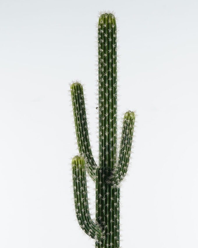 Artificial succulent 39*25*165cm Cactus*4 in pp pot GS-69224004 2024Jun YeahFlower is one of Chinese leading OEM manufacturers and exporters , supplying the silk flowers, wholesale artificial trees