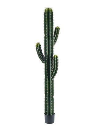 Artificial succulent 40*30*180cm Cactus*4 in pp pot GS-69224007 2024Jun YeahFlower is one of Chinese leading OEM manufacturers and exporters , supplying the silk flowers, wholesale artificial trees