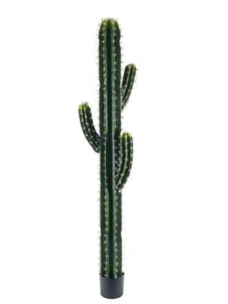 Artificial succulent 40*40*120cm Cactus*3 in pp pot GS-69224005 Succulent 3,000+ sqm showroom with thousands of artificial flowers, plants & trees ready for global sourcing.