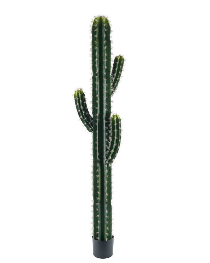 Artificial succulent 40*30*180cm Cactus*4 in pp pot GS-69224007 2024Jun YeahFlower is one of Chinese leading OEM manufacturers and exporters , supplying the silk flowers, wholesale artificial trees