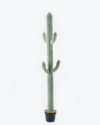 Artificial succulent 30*30*143cm Cactus*5 in pp pot GS-69224023 Succulent YeahFlower is one of Chinese leading OEM manufacturers and exporters , supplying the silk flowers, wholesale artificial trees