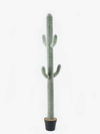 Artificial succulent 40*40*63cm Cactus in pp pot GS-69224021 Succulent 3,000+ sqm showroom with thousands of artificial flowers, plants & trees ready for global sourcing.