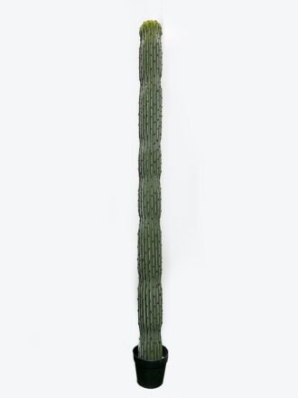 Artificial succulent 40*30*180cm Cactus*4 in pp pot GS-69224007 Succulent 3,000+ sqm showroom with thousands of artificial flowers, plants & trees ready for global sourcing.