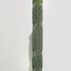 Artificial succulent 11*11*160cm Cactus in pp pot GS-69224010 2024Jun YeahFlower is one of Chinese leading OEM manufacturers and exporters , supplying the silk flowers, wholesale artificial trees