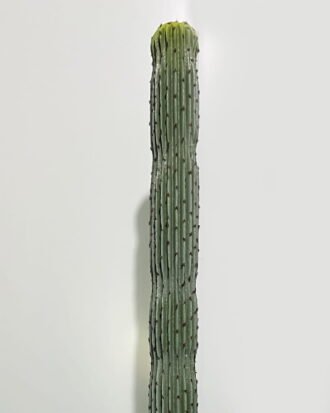 Artificial succulent 11*11*160cm Cactus in pp pot GS-69224010 2024Jun YeahFlower is one of Chinese leading OEM manufacturers and exporters , supplying the silk flowers, wholesale artificial trees