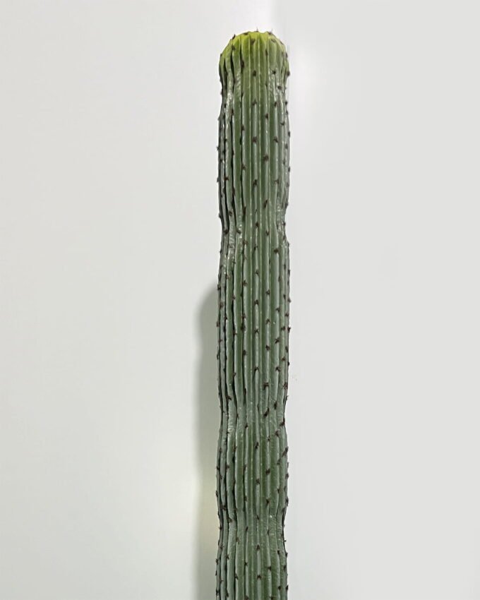 Artificial succulent 11*11*160cm Cactus in pp pot GS-69224010 2024Jun YeahFlower is one of Chinese leading OEM manufacturers and exporters , supplying the silk flowers, wholesale artificial trees