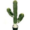 Artificial succulent 32*32*65cm Cactus in pp pot GS-69224011 2024Jun YeahFlower is one of Chinese leading OEM manufacturers and exporters , supplying the silk flowers, wholesale artificial trees