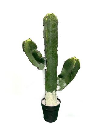 Artificial succulent 32*32*65cm Cactus in pp pot GS-69224011 2024Jun YeahFlower is one of Chinese leading OEM manufacturers and exporters , supplying the silk flowers, wholesale artificial trees