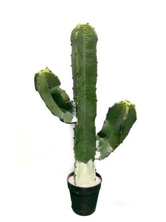 Artificial succulent 11*11*160cm Cactus in pp pot GS-69224010 Succulent 3,000+ sqm showroom with thousands of artificial flowers, plants & trees ready for global sourcing.